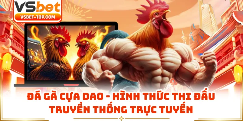 Đá Gà Cựa Dao - Hình Thức Thi Đấu Truyền Thống Trực Tuyến