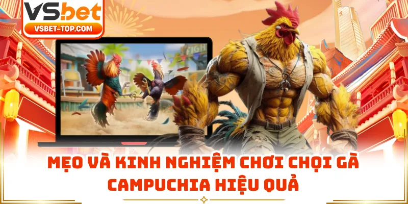 Mẹo Và Kinh Nghiệm Chơi Chọi Gà Campuchia Hiệu Quả 