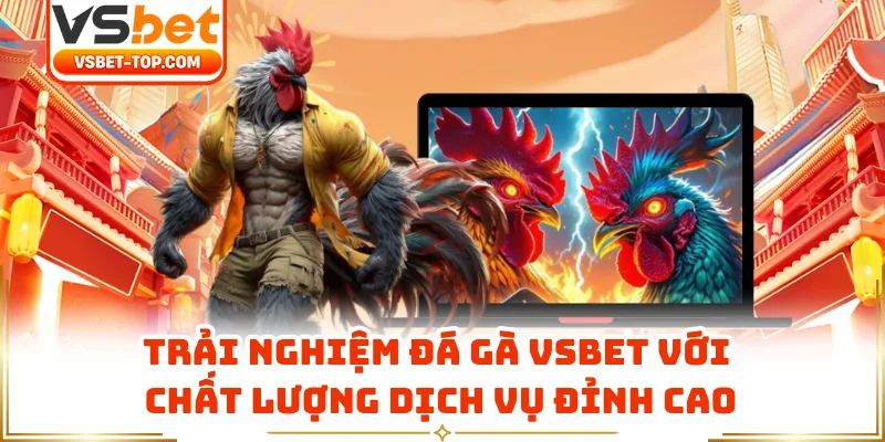 Trải Nghiệm Đá Gà VSBET Với Chất Lượng Dịch Vụ Đỉnh Cao
